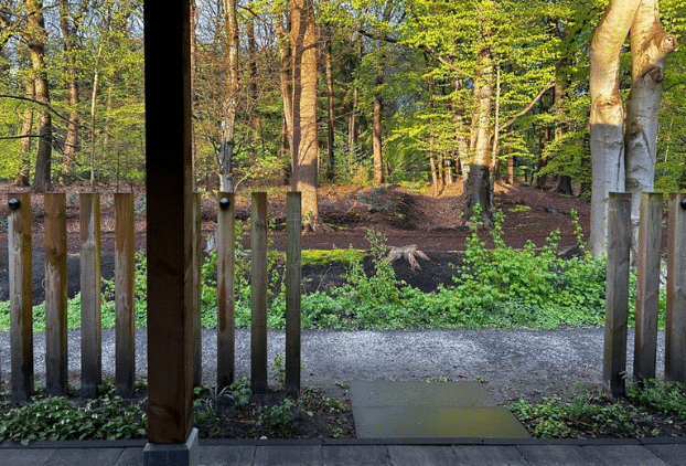 Wandelpad bij bomen.