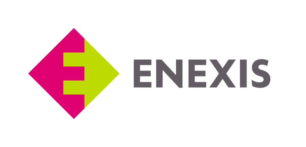 Logo van Enexis.
