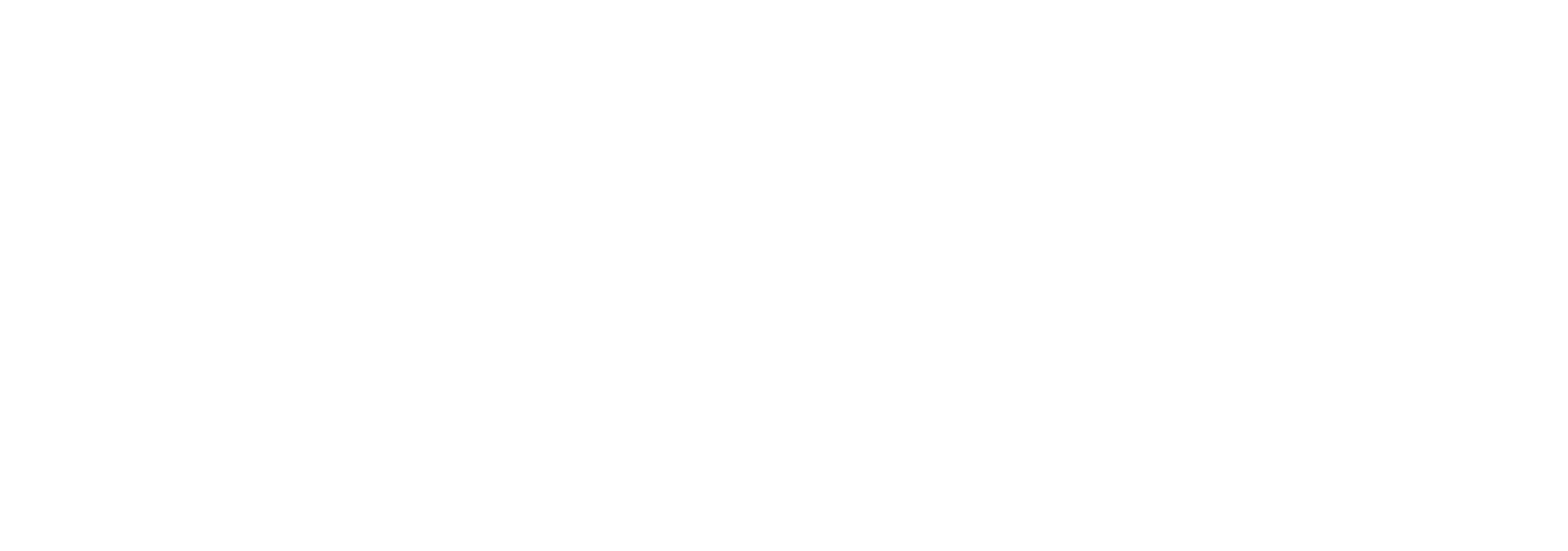 google logo wit