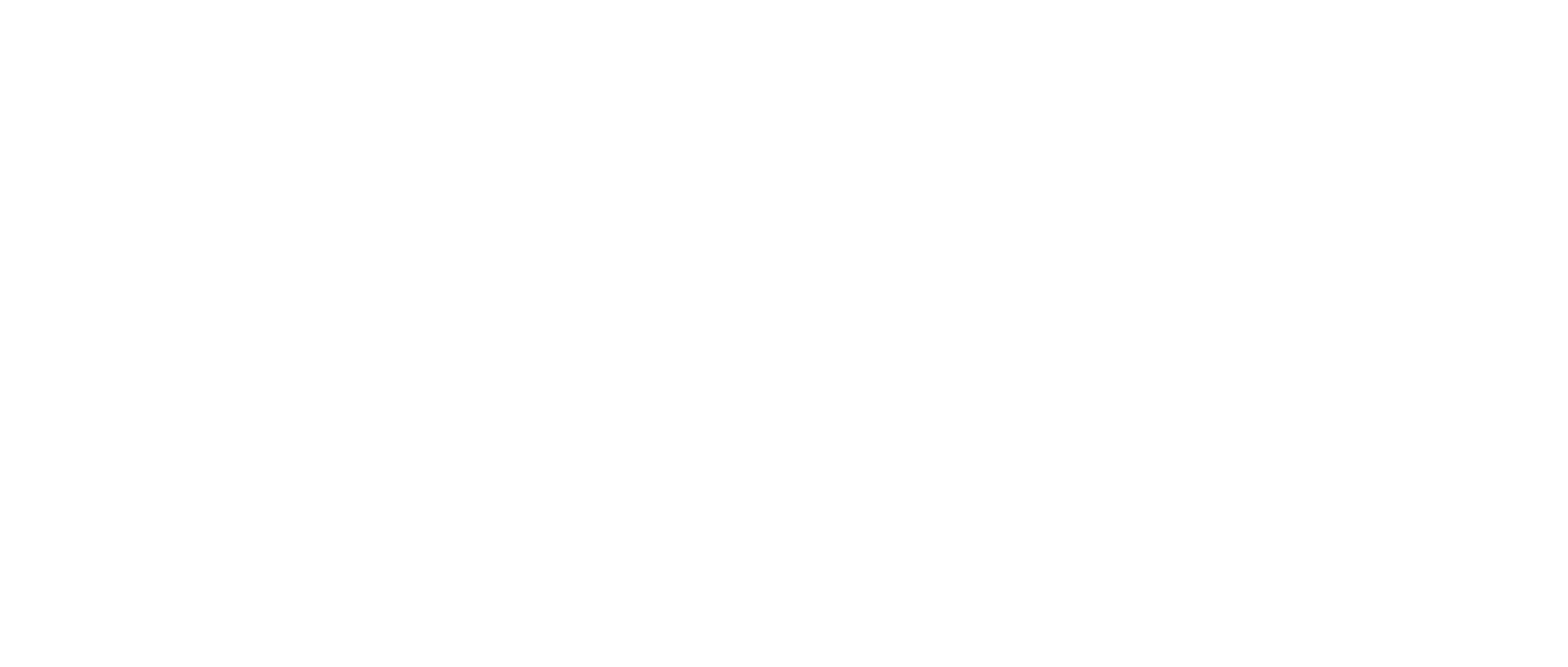 exin logo white